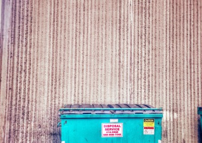 Pretty Dumpster