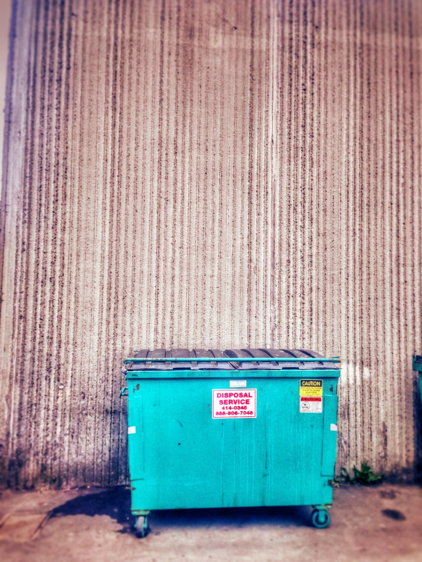 Pretty Dumpster