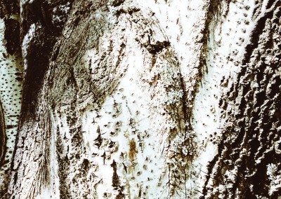 Natural Contrast
